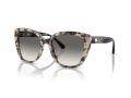 Emporio Armani Sunčane Naočale EA 4214U 605811