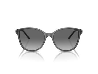 Emporio Armani Sunčane Naočale EA 4220 610611 Emporio Armani Sunčane Naočale EA 4220 610611