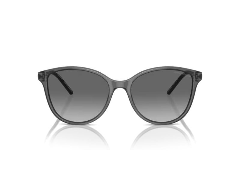 Emporio Armani Sunčane Naočale EA 4220 610611