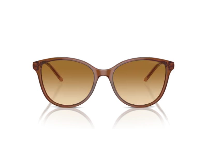 Emporio Armani Sunčane Naočale EA 4220 61103B