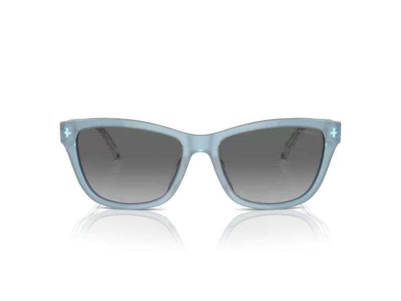 Emporio Armani Sunčane Naočale EA 4227U 609611