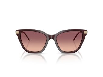 Emporio Armani Sunčane Naočale EA 4251 62658D