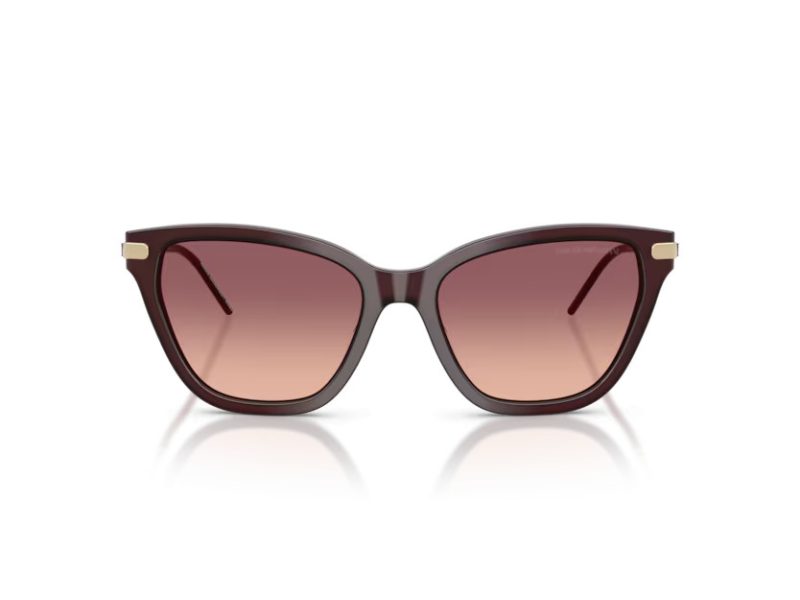 Emporio Armani Sunčane Naočale EA 4251 62658D