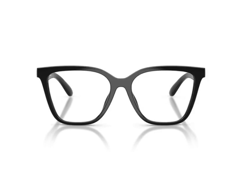 Emporio Armani Sunčane Naočale EA 4254U 50171W