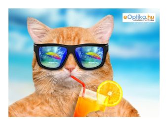 Krpica za čišćenje