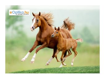 Krpica za čišćenje