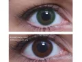 ColourVUE Basic Green (2 leća)