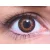 ColourVUE 3 Tones Brown (2 leća)