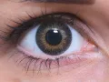 ColourVUE 3 Tones Green (2 leća)