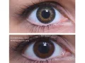 ColourVUE 3 Tones Green (2 leća)