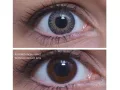 ColourVUE 3 Tones Grey (2 leća)