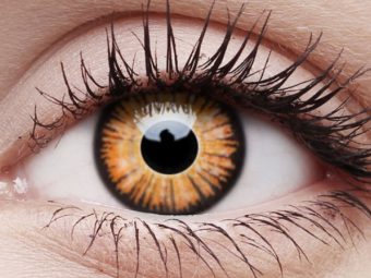 ColourVUE Crazy One-Day Twilight (2 leća)