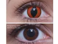 ColourVUE Crazy Mad Frog (2 leća)