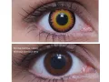 ColourVUE Crazy Orange Werewolf (2 leća)