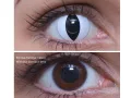 ColourVUE Crazy Viper (2 leća)