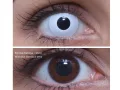 ColourVUE Crazy Whiteout (2 leća)