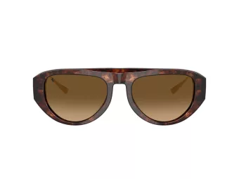 Ferrari Sunčane Naočale 2012U 725/M2