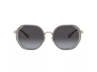 Coach Cd477 Sunčane Naočale 7141 90058G