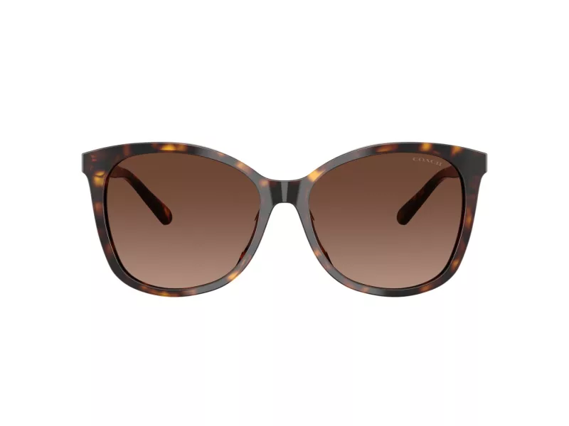 Coach L1101 Sunčane Naočale 8271U 5120T5