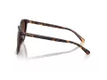 Coach L1101 Sunčane Naočale 8271U 5120T5