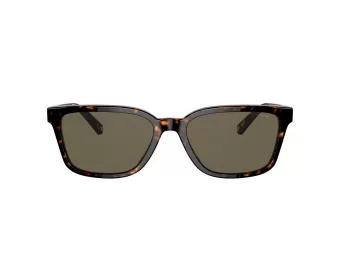 Coach C6196 Sunčane Naočale 8328U 512003