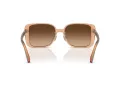 Coach Ch562 Sunčane Naočale 8375 574974