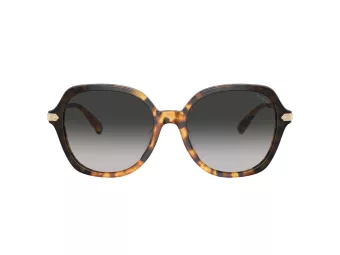 Coach Cl925 Sunčane Naočale 8377U 577613