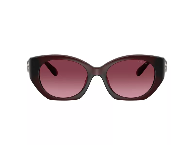 Coach Cw194 Sunčane Naočale 8407U 53938H