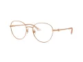 Jimmy Choo Naočale 2004HB 3008
