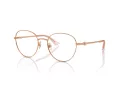 Jimmy Choo Naočale 2004HB 3008