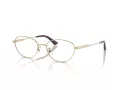 Jimmy Choo Naočale 2009D 3006
