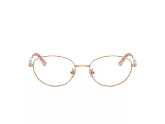 Jimmy Choo Naočale 2009D 3008
