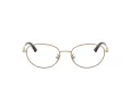 Jimmy Choo Naočale 2009D 3019