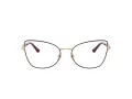 Jimmy Choo Naočale 2012 3025