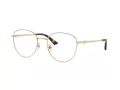 Jimmy Choo Naočale 2013HD 3006