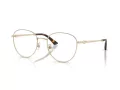 Jimmy Choo Naočale 2013HD 3006