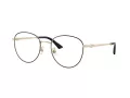 Jimmy Choo Naočale 2013HD 3010