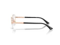 Jimmy Choo Naočale 2014D 3022