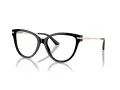 Jimmy Choo Naočale 3001B 5000