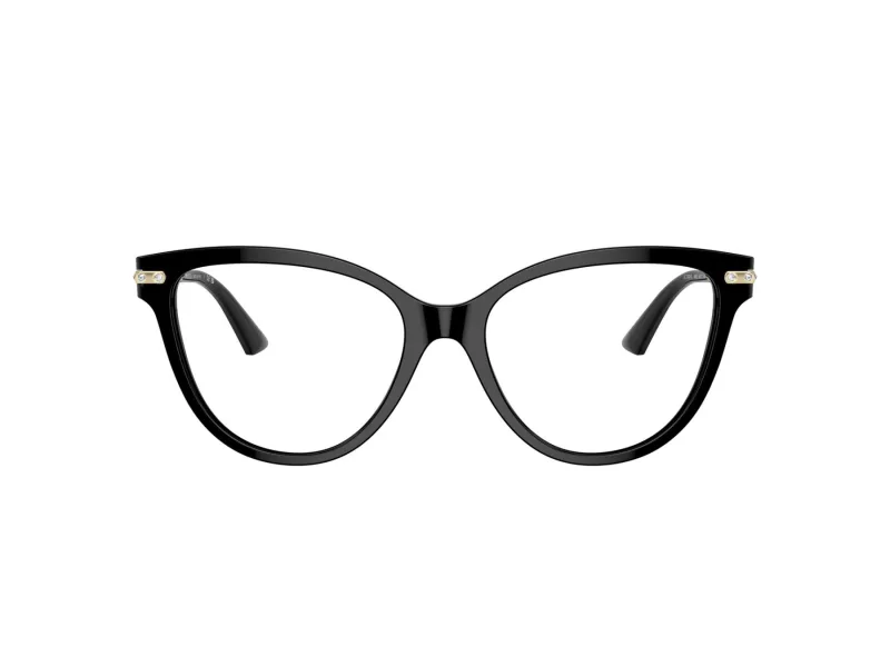 Jimmy Choo Naočale 3001B 5000