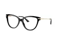 Jimmy Choo Naočale 3001B 5000