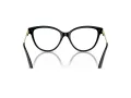 Jimmy Choo Naočale 3001B 5000