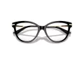 Jimmy Choo Naočale 3001B 5000