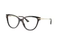 Jimmy Choo Naočale JC 3001B 5002