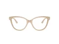 Jimmy Choo Naočale 3001B 5015
