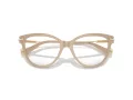 Jimmy Choo Naočale 3001B 5015