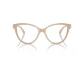 Jimmy Choo Naočale 3001B 5015