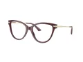 Jimmy Choo Naočale 3001B 5018