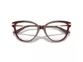 Jimmy Choo Naočale 3001B 5018