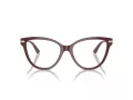 Jimmy Choo Naočale 3001B 5018